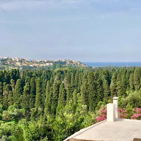 Andros Epoque * Livádhia