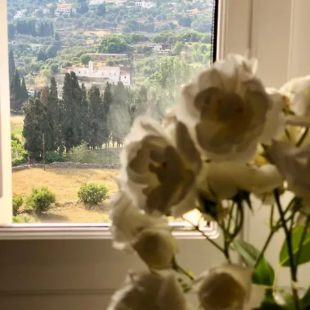 Andros Epoque ヴィラ *