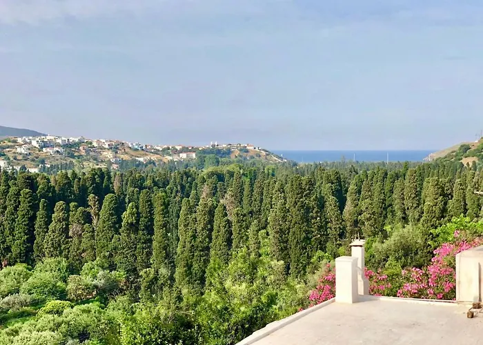 Andros Epoque * Livadia (Andros)